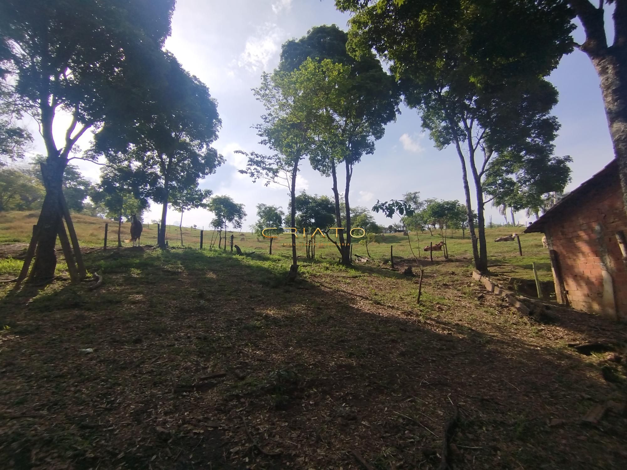 Fazenda à venda com 5 quartos, 18000m² - Foto 6