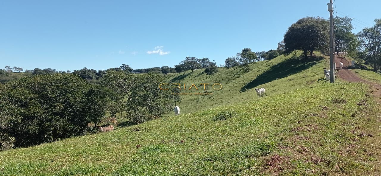 Fazenda à venda com 2 quartos, 240000m² - Foto 11