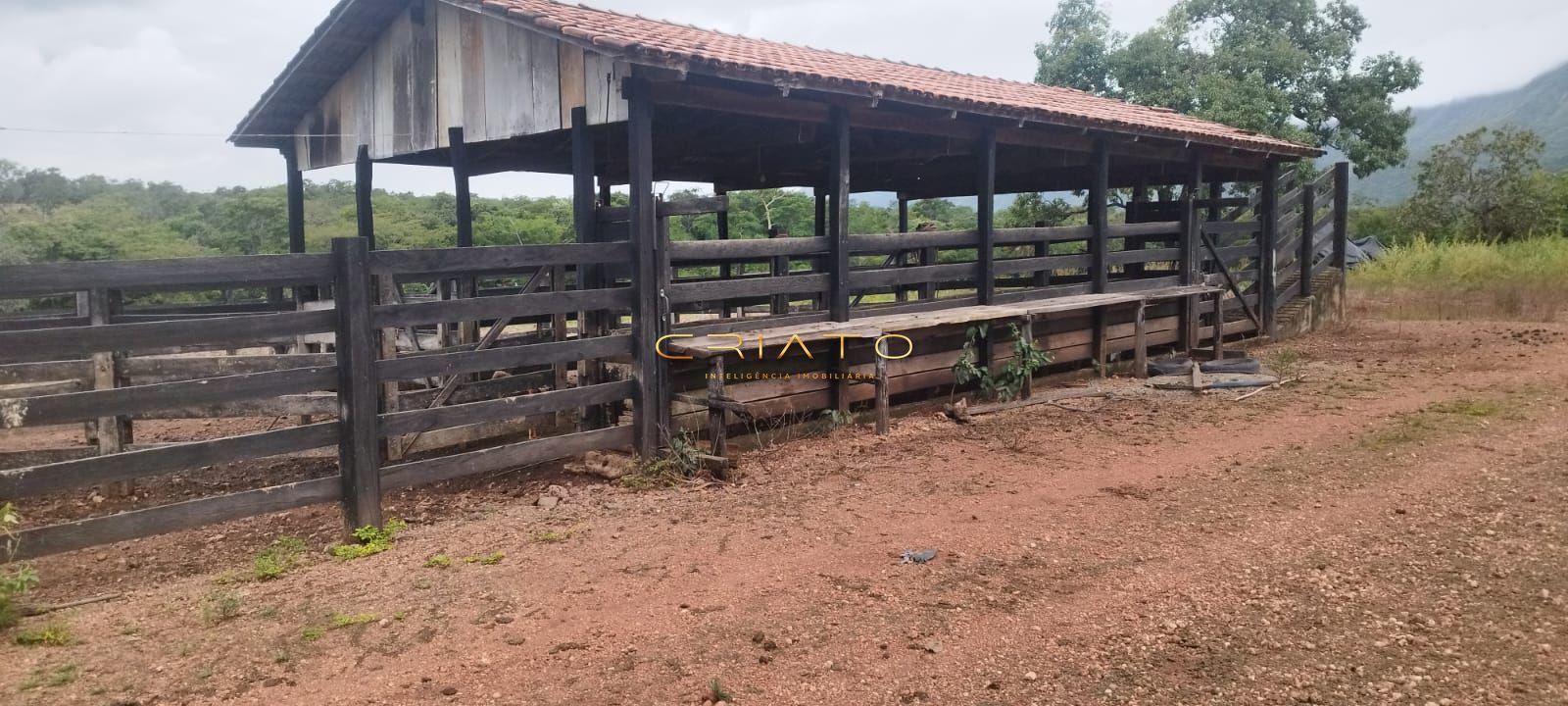 Fazenda à venda com 2 quartos, 5390000m² - Foto 30