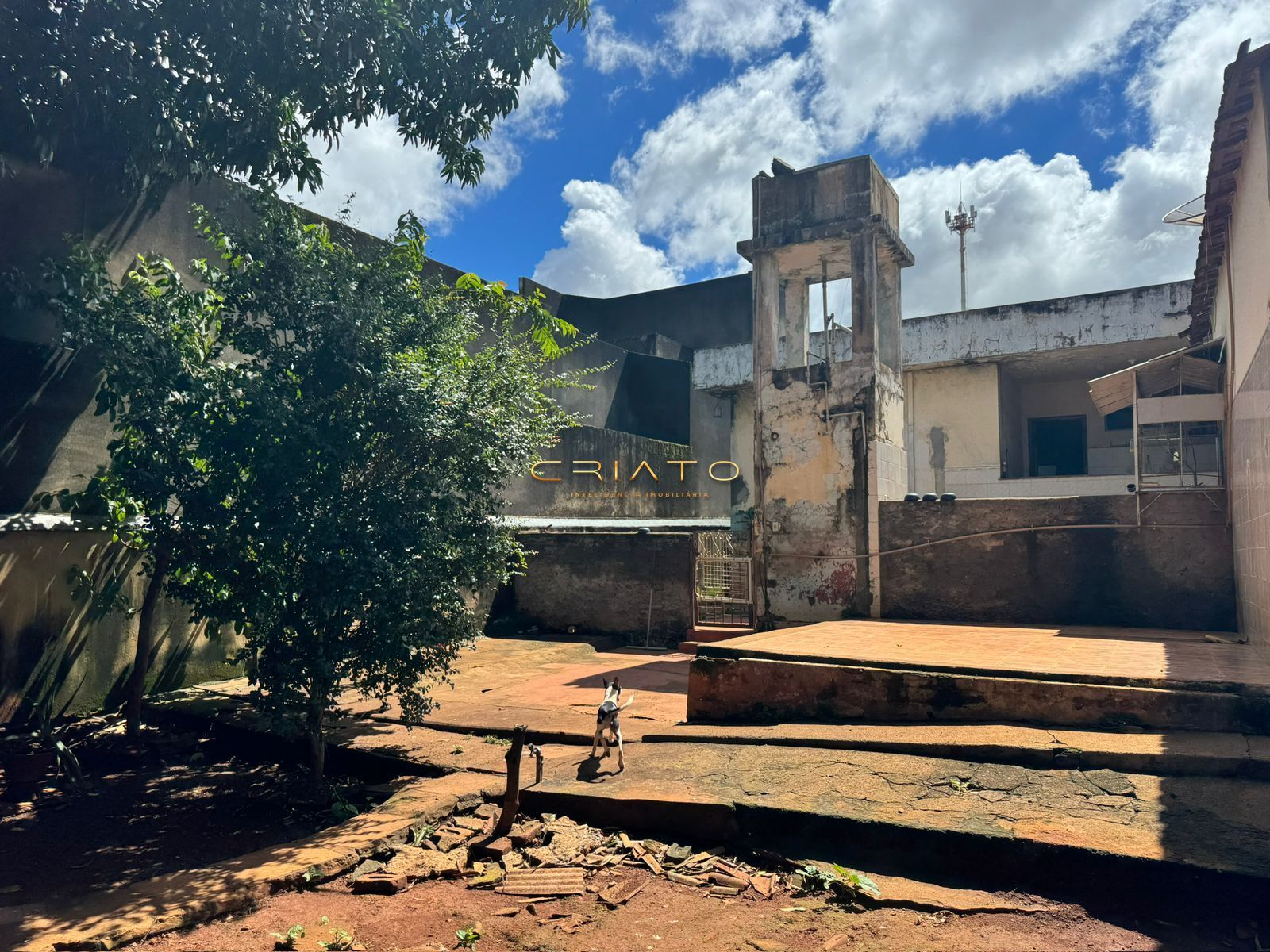 Casa, 3 quartos, 240 m² - Foto 28