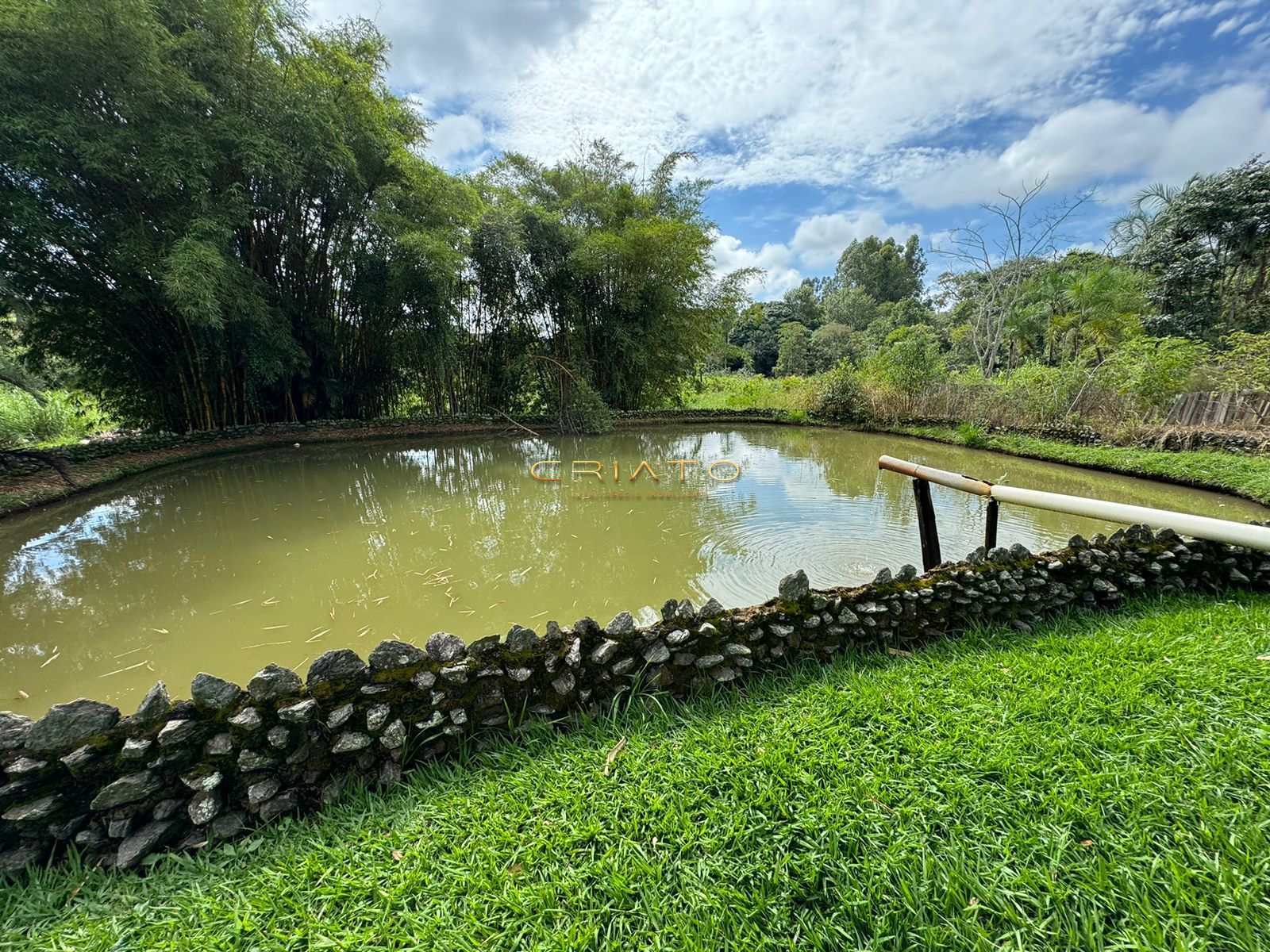 Fazenda à venda com 3 quartos, 300m² - Foto 14