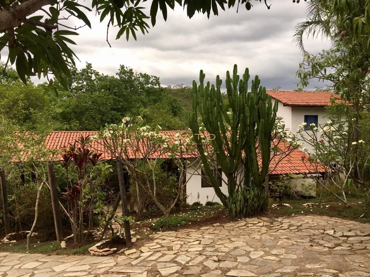 Sítio à venda com 3 quartos, 100000m² - Foto 11