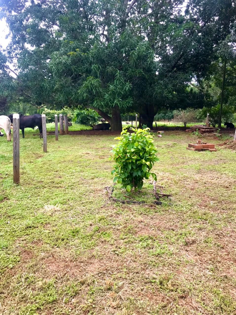 Fazenda à venda com 2 quartos, 150m² - Foto 29