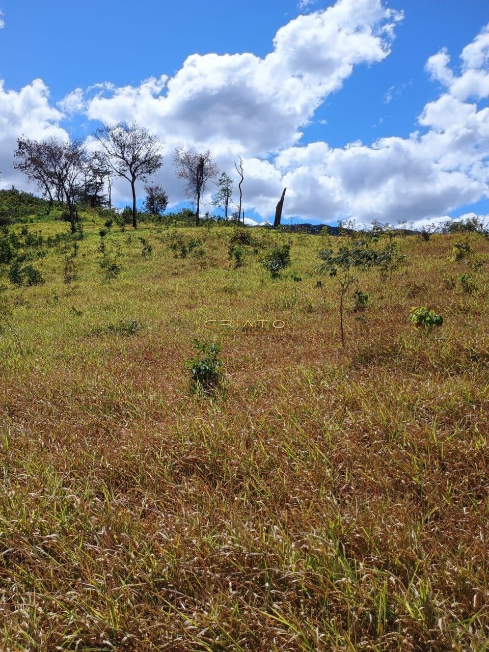 Fazenda à venda com 2 quartos, 5390000m² - Foto 24