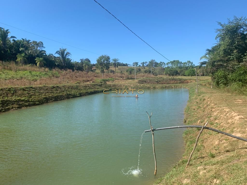Sítio à venda com 2 quartos, 620000m² - Foto 19