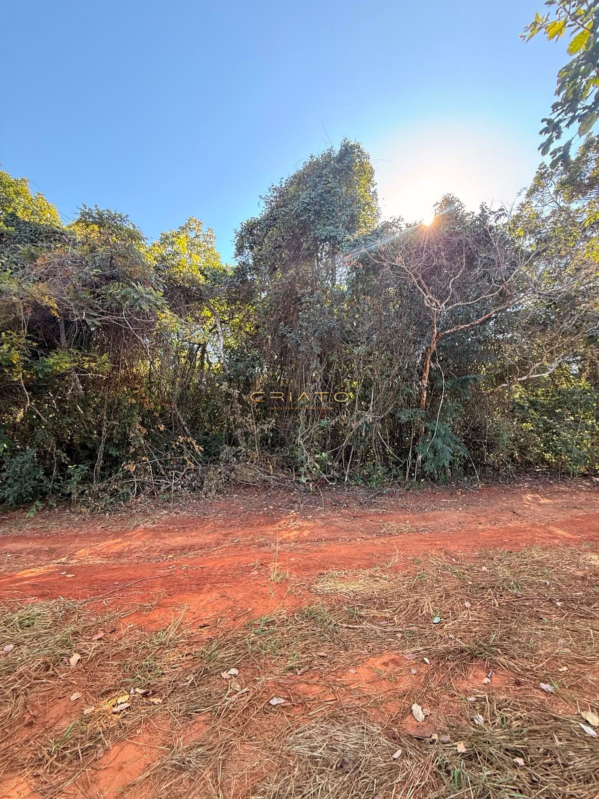 Terreno, 1200 m² - Foto 7