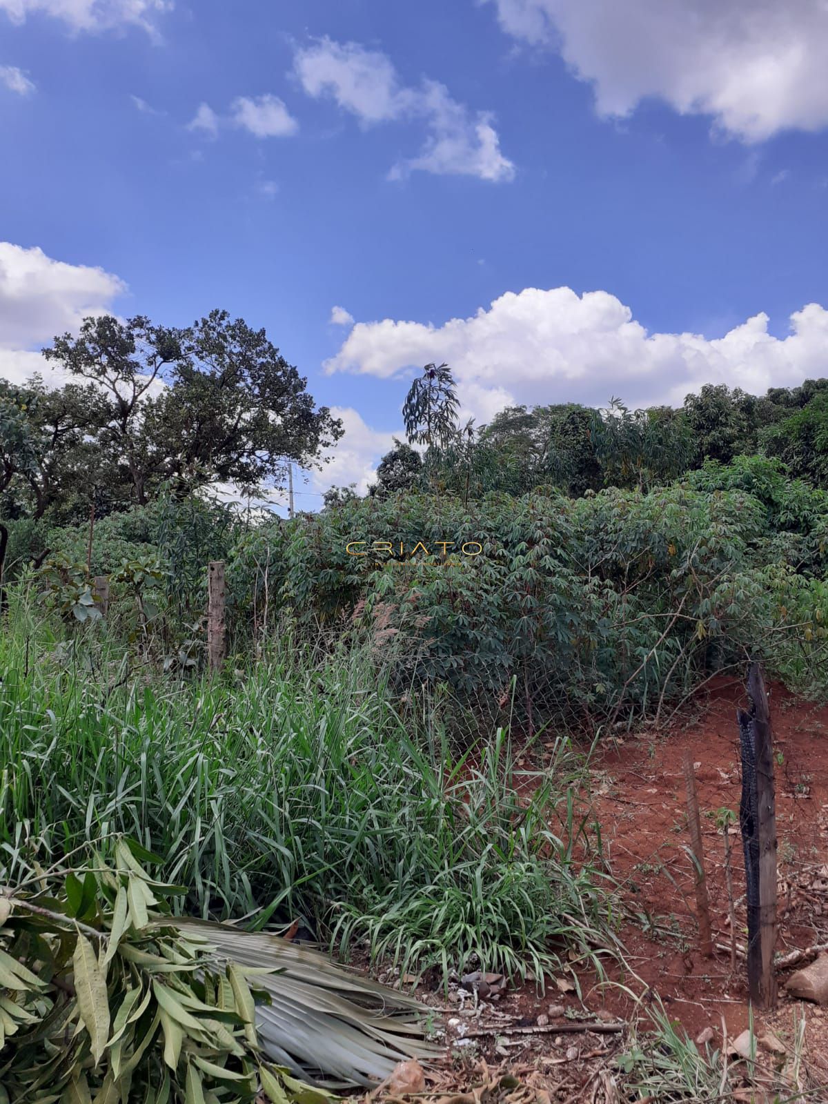 Terreno à venda, 360m² - Foto 2