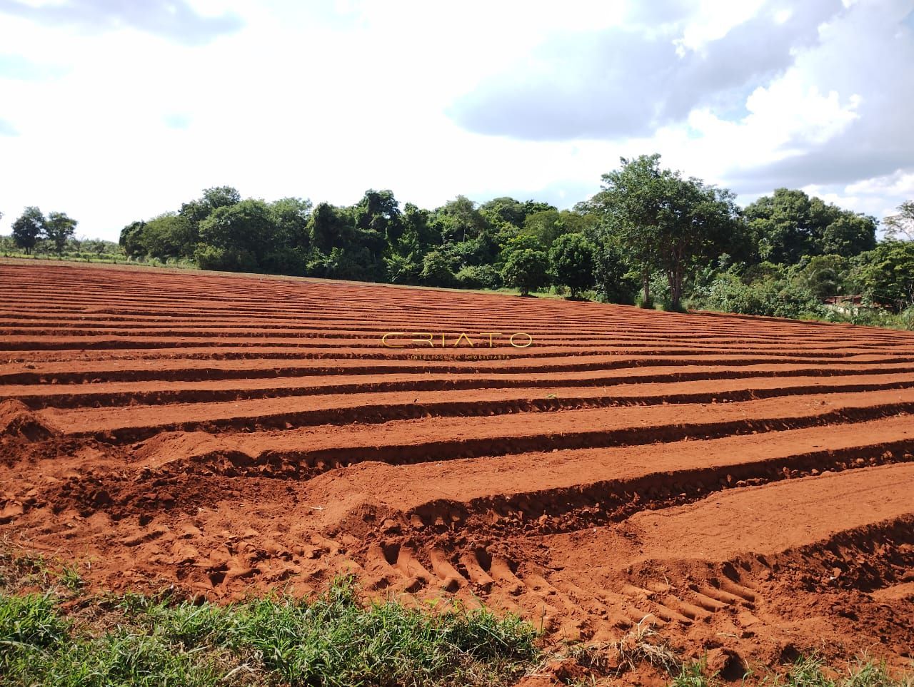 Fazenda à venda com 2 quartos, 20000m² - Foto 13