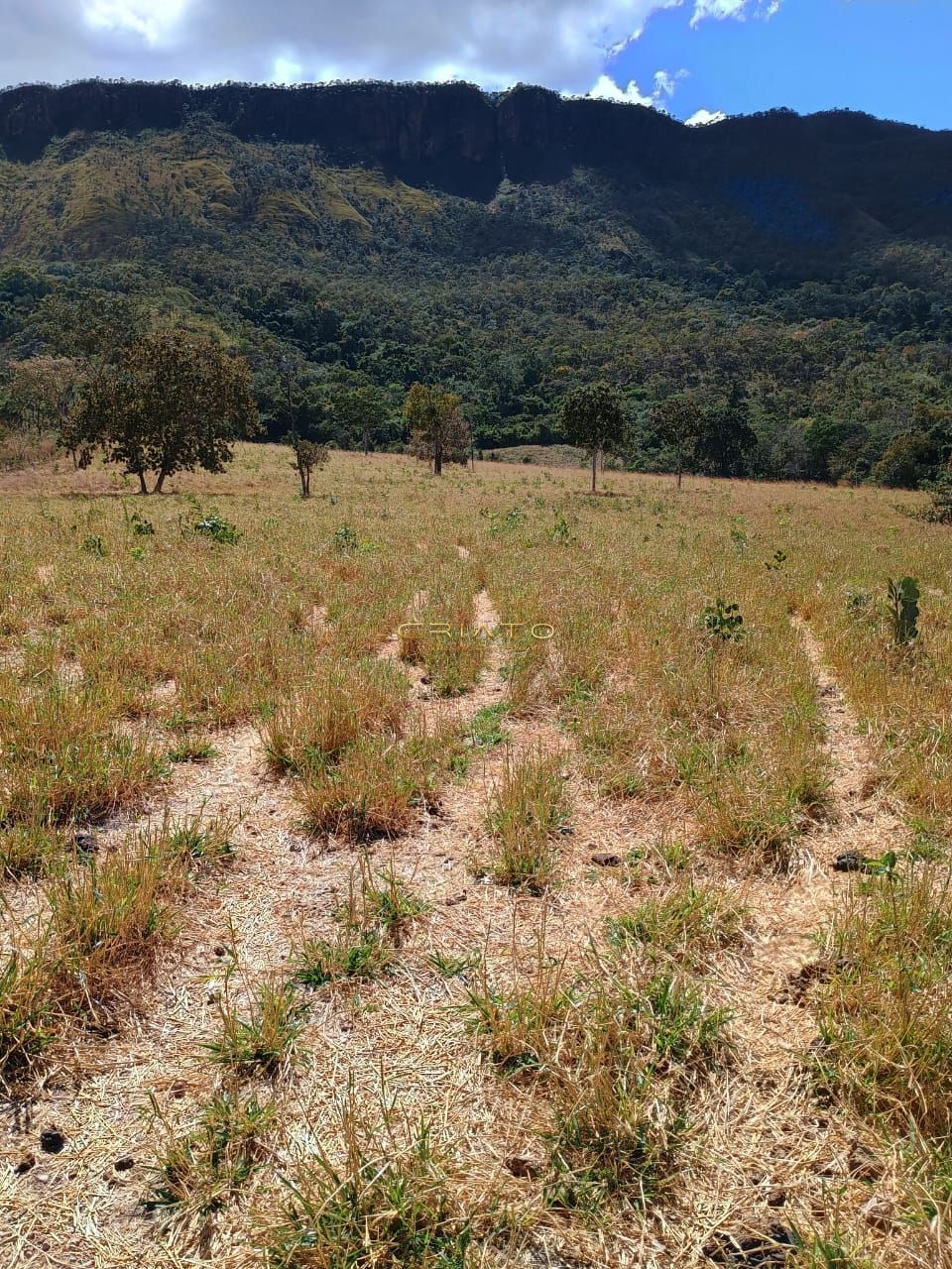 Fazenda à venda com 2 quartos, 5390000m² - Foto 14