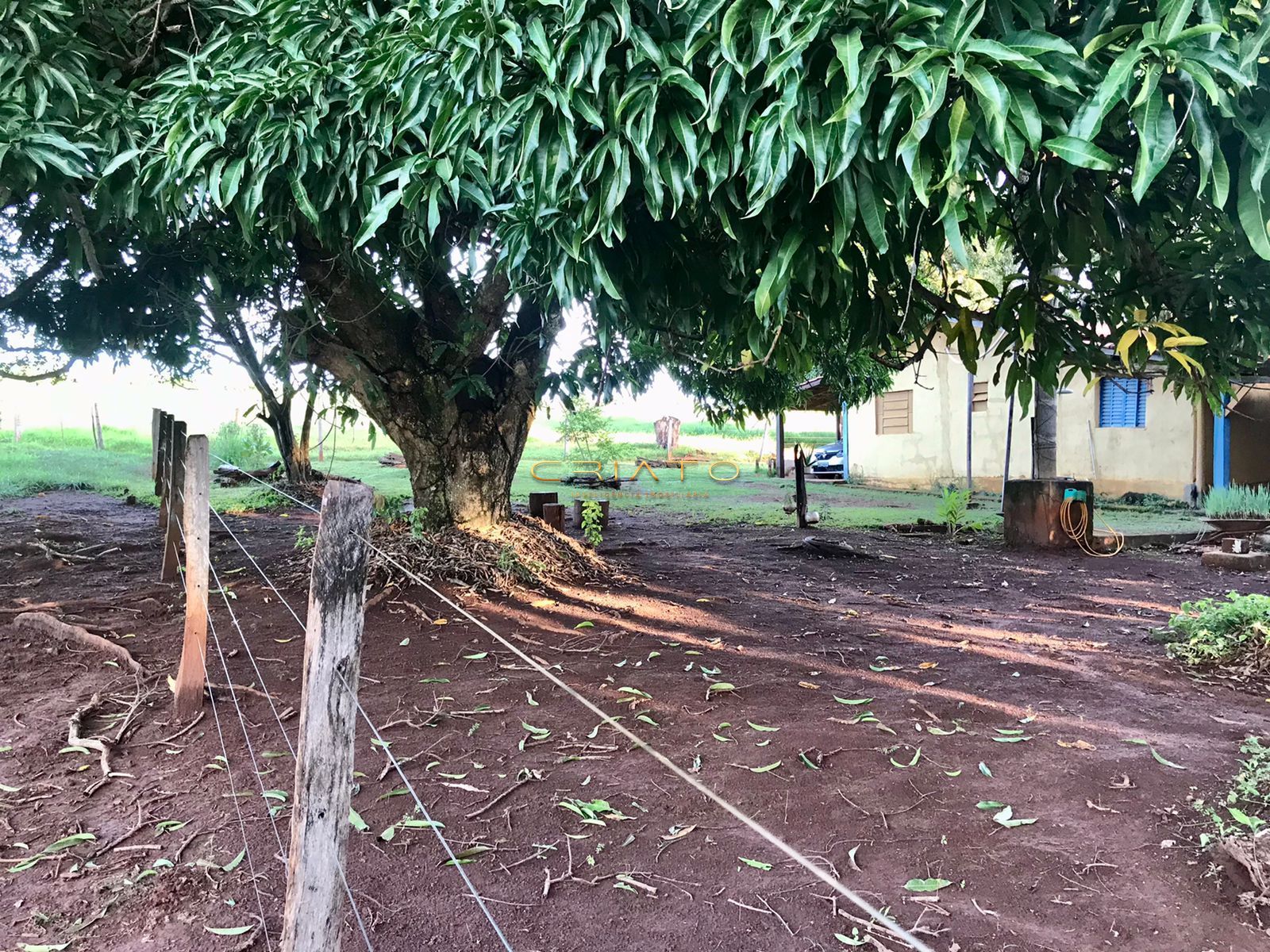 Fazenda à venda com 2 quartos, 150m² - Foto 14