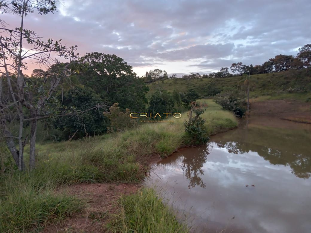 Fazenda à venda com 2 quartos, 36m² - Foto 6