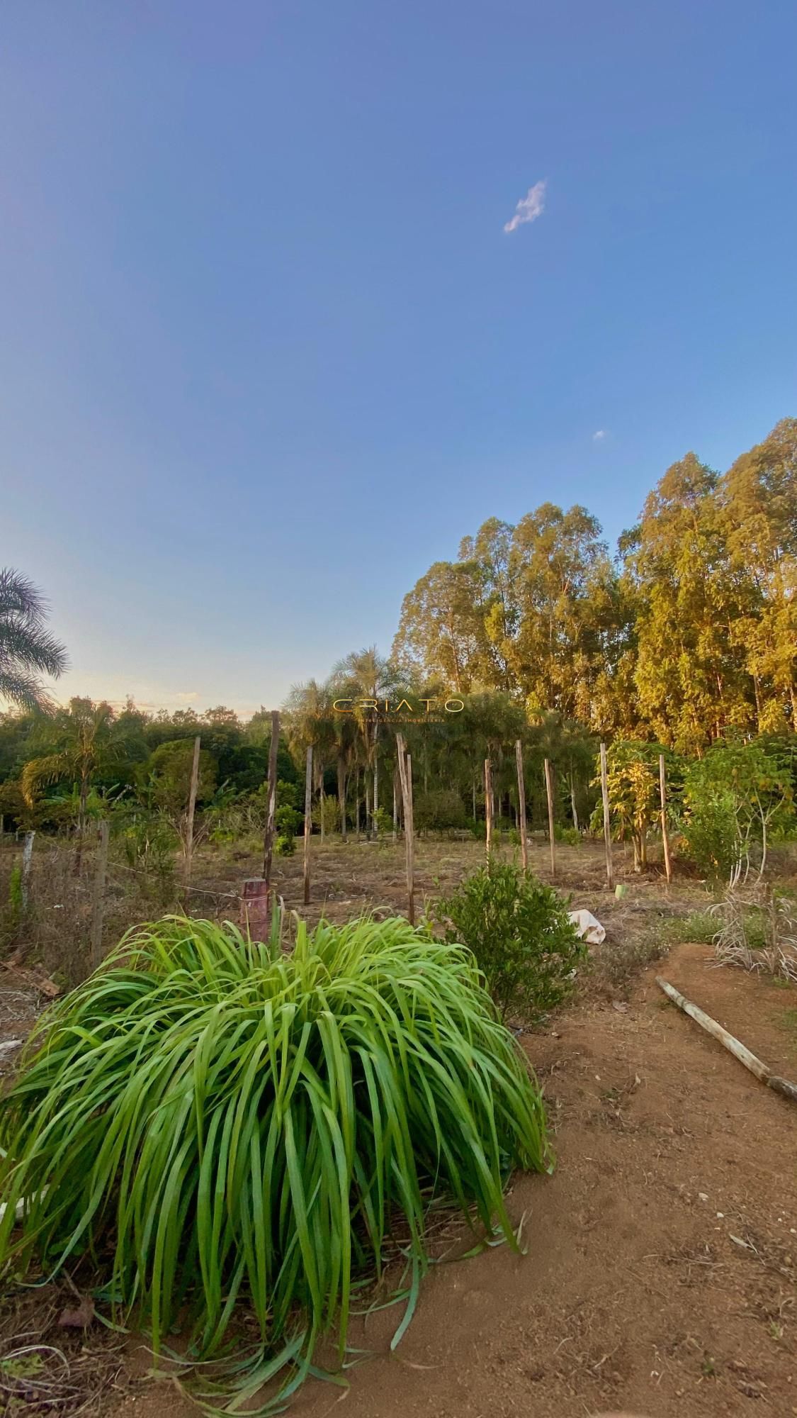 Chácara à venda com 2 quartos, 460m² - Foto 11