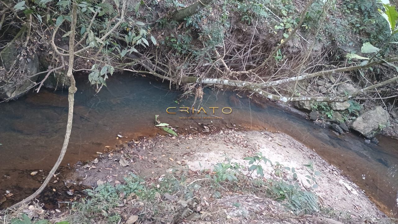 Fazenda à venda com 2 quartos, 3700m² - Foto 31