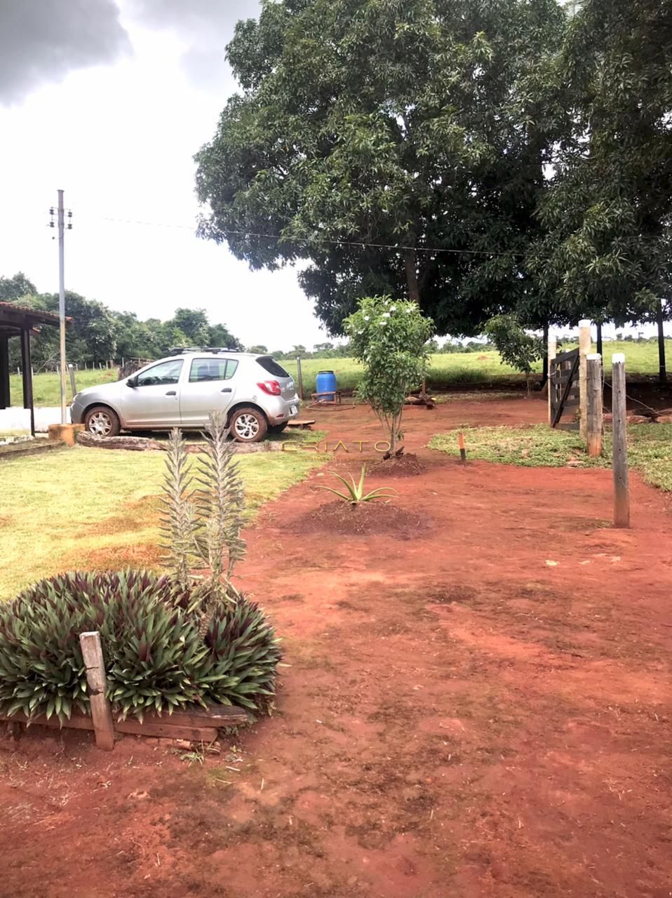 Fazenda à venda com 2 quartos, 150m² - Foto 25