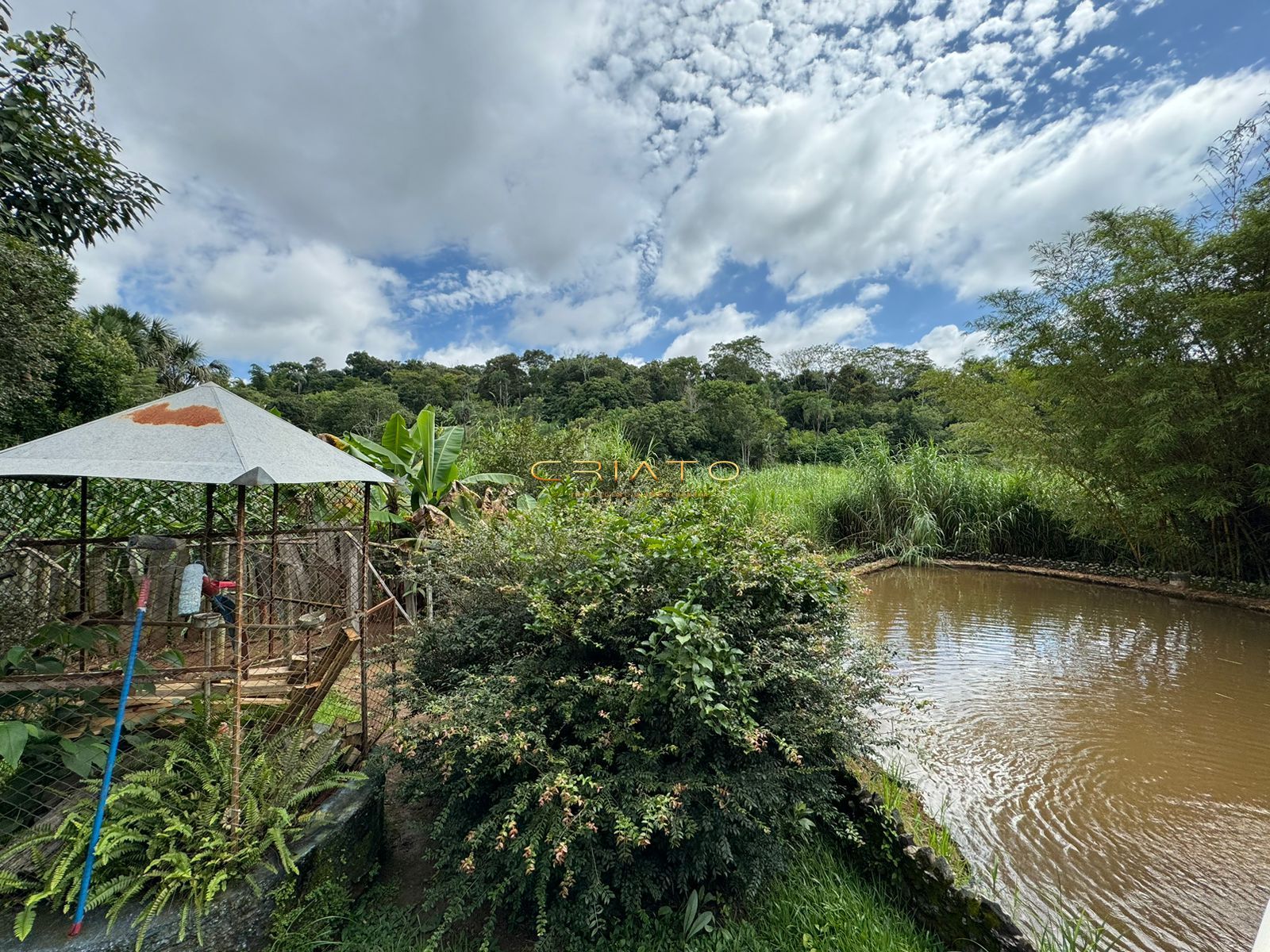 Fazenda à venda com 3 quartos, 300m² - Foto 17