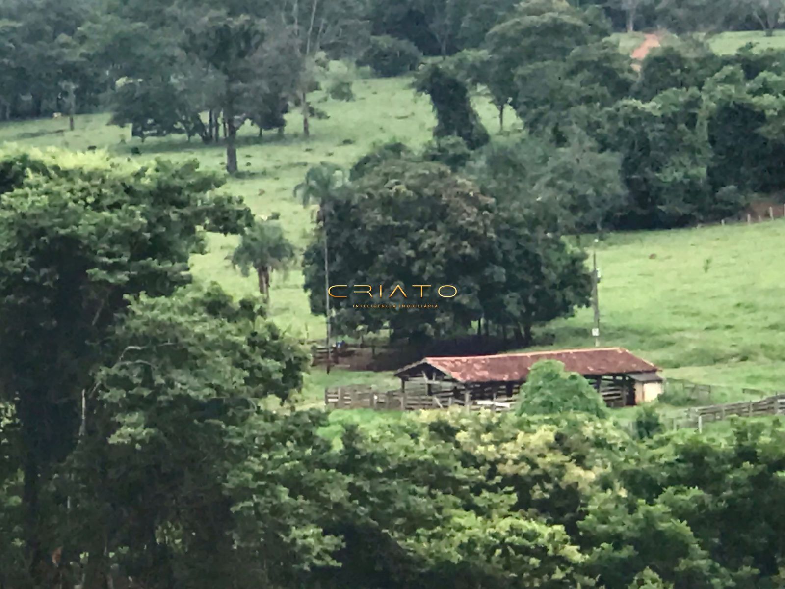 Fazenda à venda com 2 quartos, 150m² - Foto 11