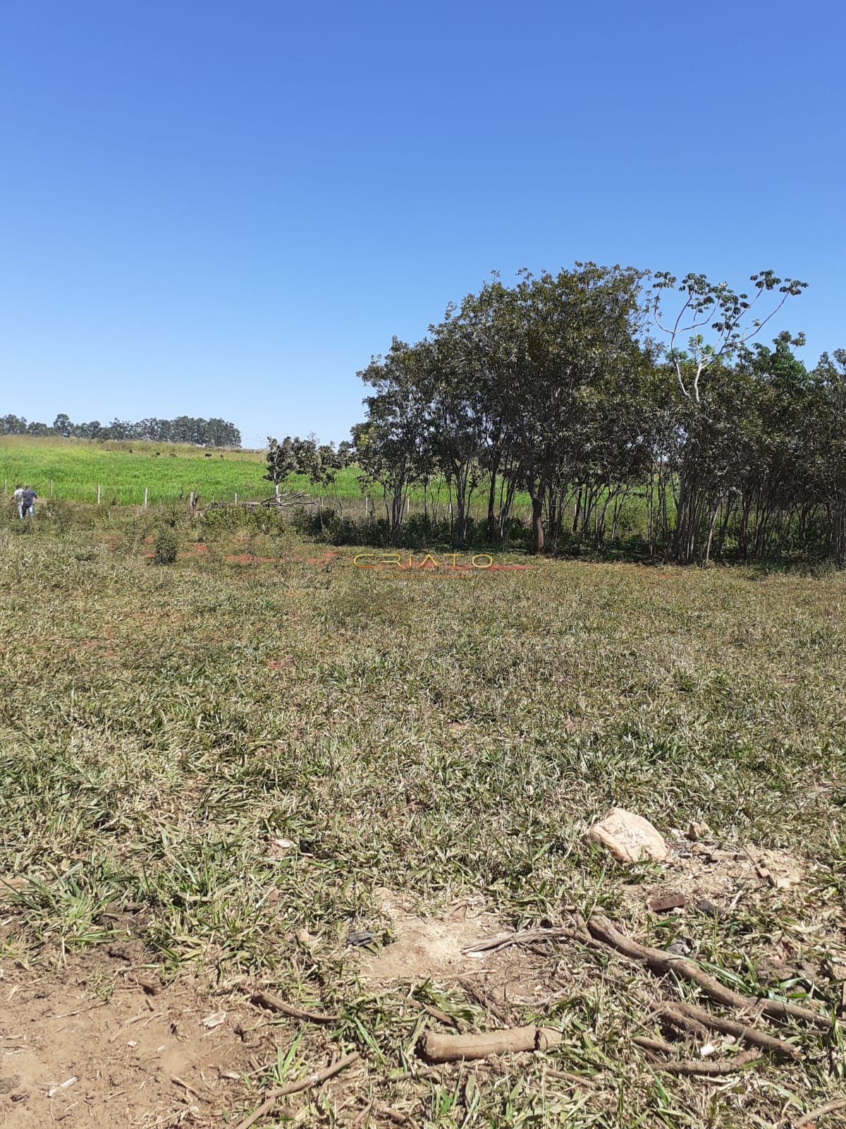 Fazenda à venda com 3 quartos, 20000m² - Foto 27