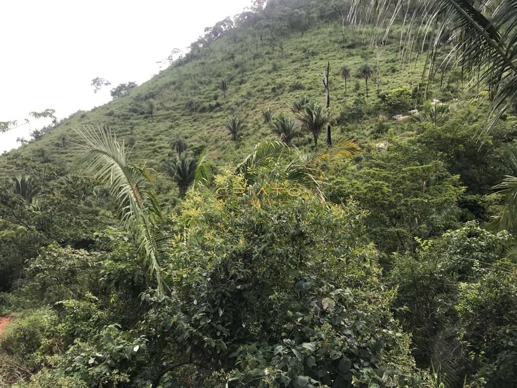 Fazenda à venda com 2 quartos, 80m² - Foto 16