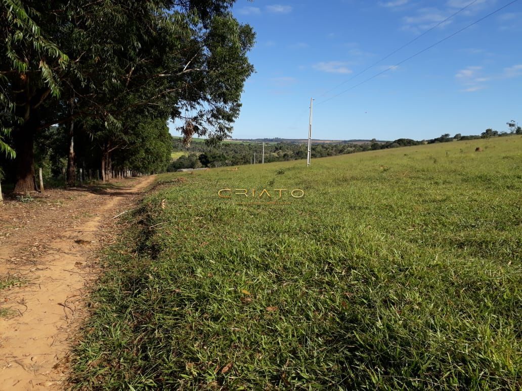 Fazenda à venda com 3 quartos, 150m² - Foto 9