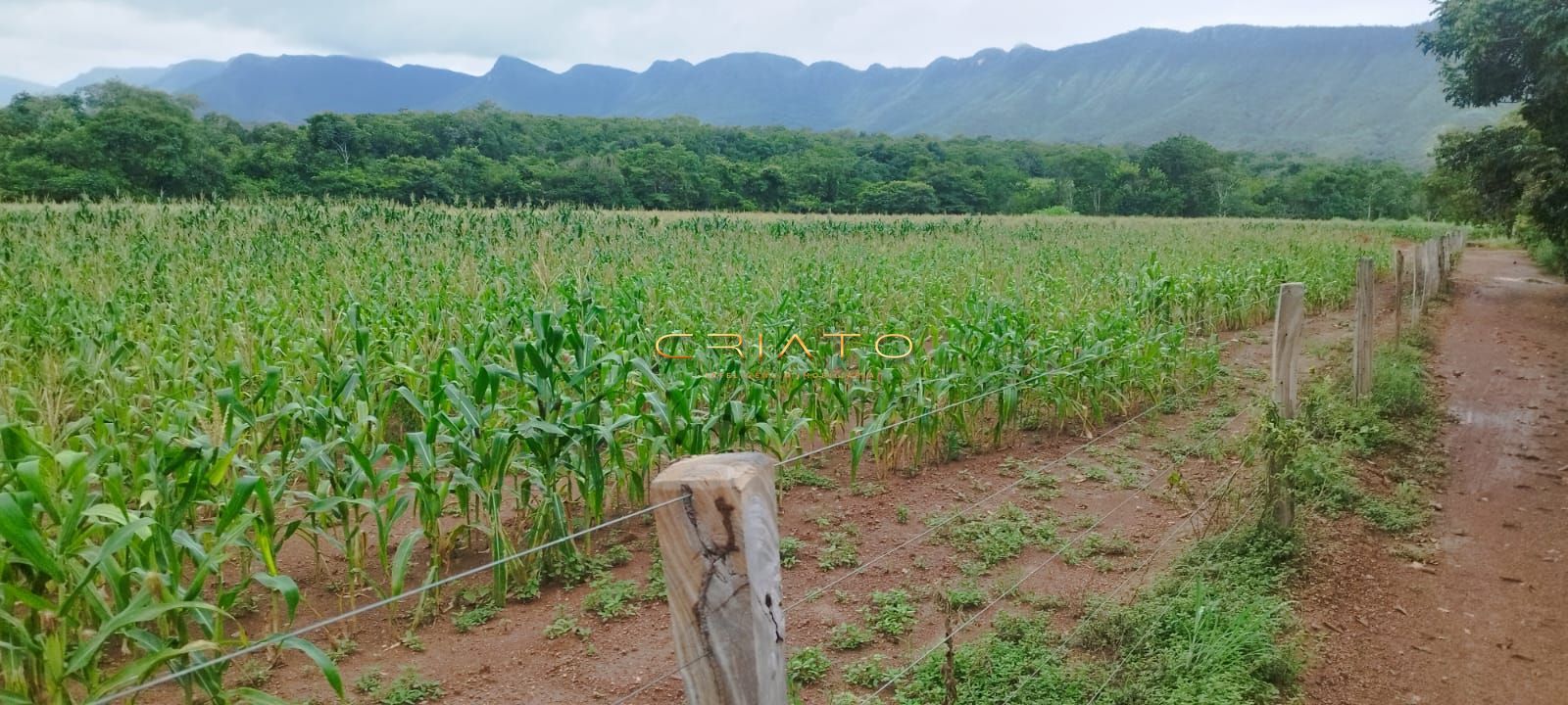 Fazenda à venda com 2 quartos, 5390000m² - Foto 23