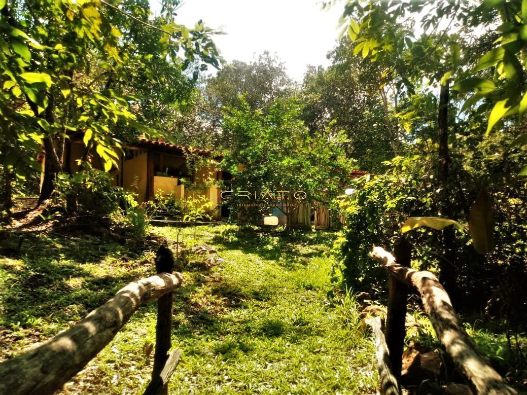 Fazenda à venda com 1 quarto, 30000m² - Foto 28