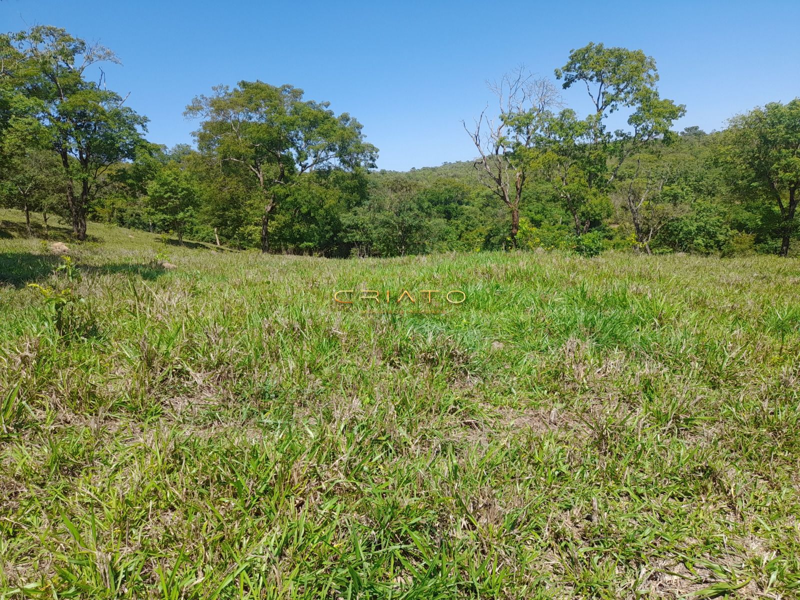 Fazenda, 145 hectares - Foto 17