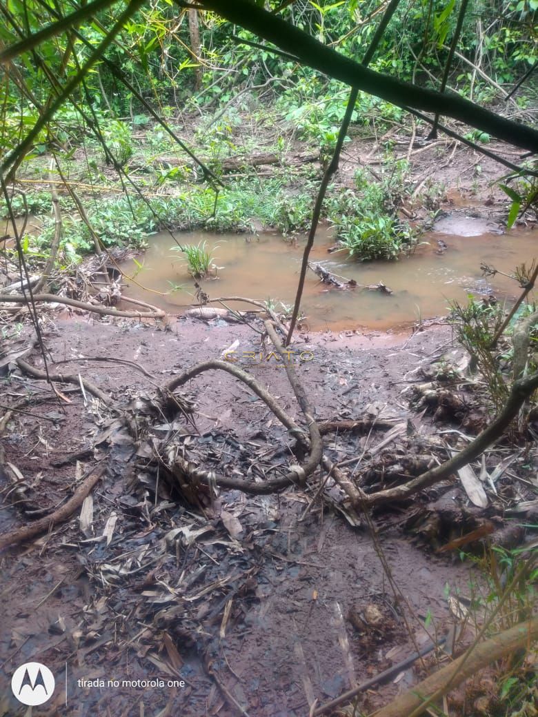 Loteamento e Condomínio à venda com 4 quartos, 100m² - Foto 6