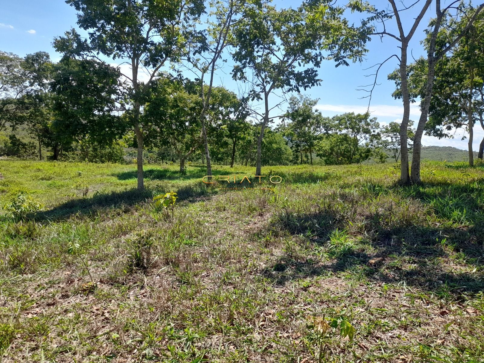 Fazenda, 145 hectares - Foto 15