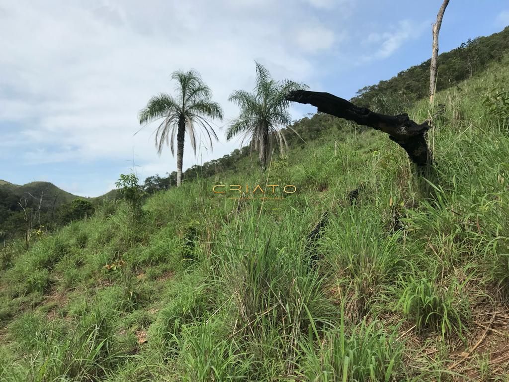 Fazenda à venda com 2 quartos, 80m² - Foto 19