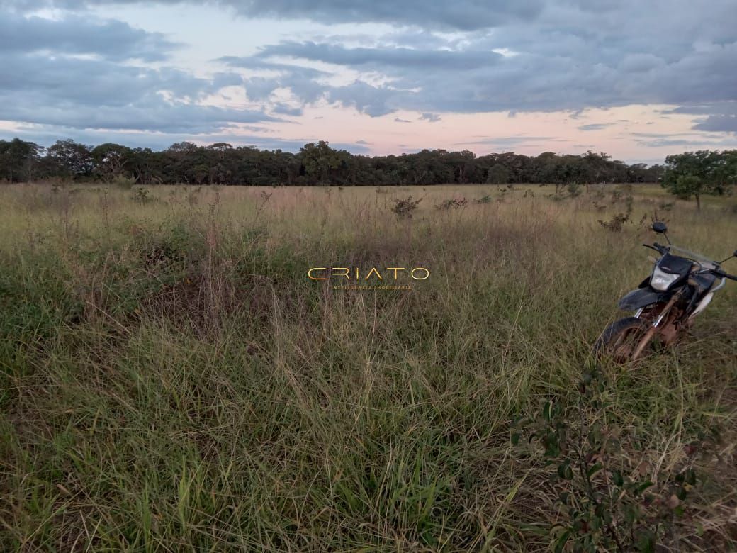 Fazenda à venda com 2 quartos, 36m² - Foto 23