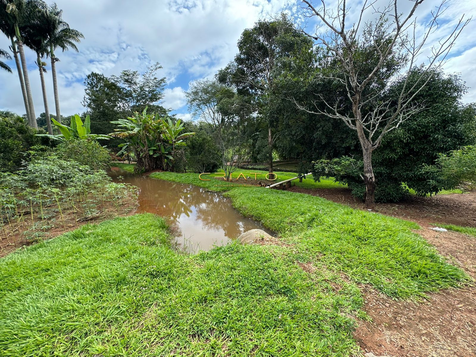 Fazenda à venda com 3 quartos, 300m² - Foto 12