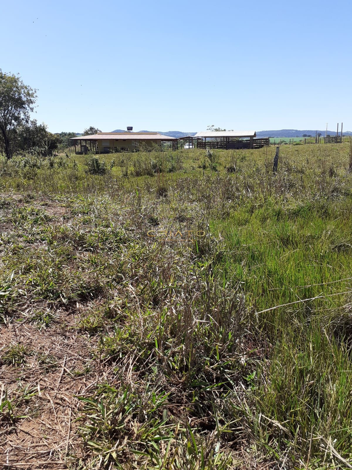 Fazenda à venda com 3 quartos, 20000m² - Foto 11