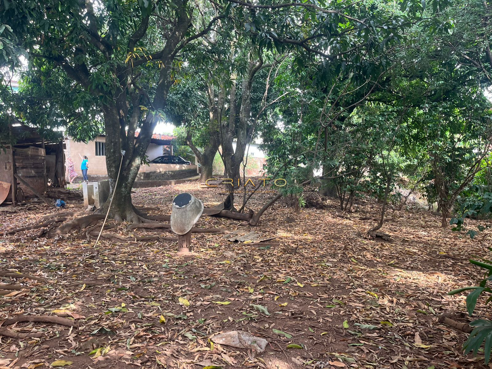 Terreno, 3200 m² - Foto 2