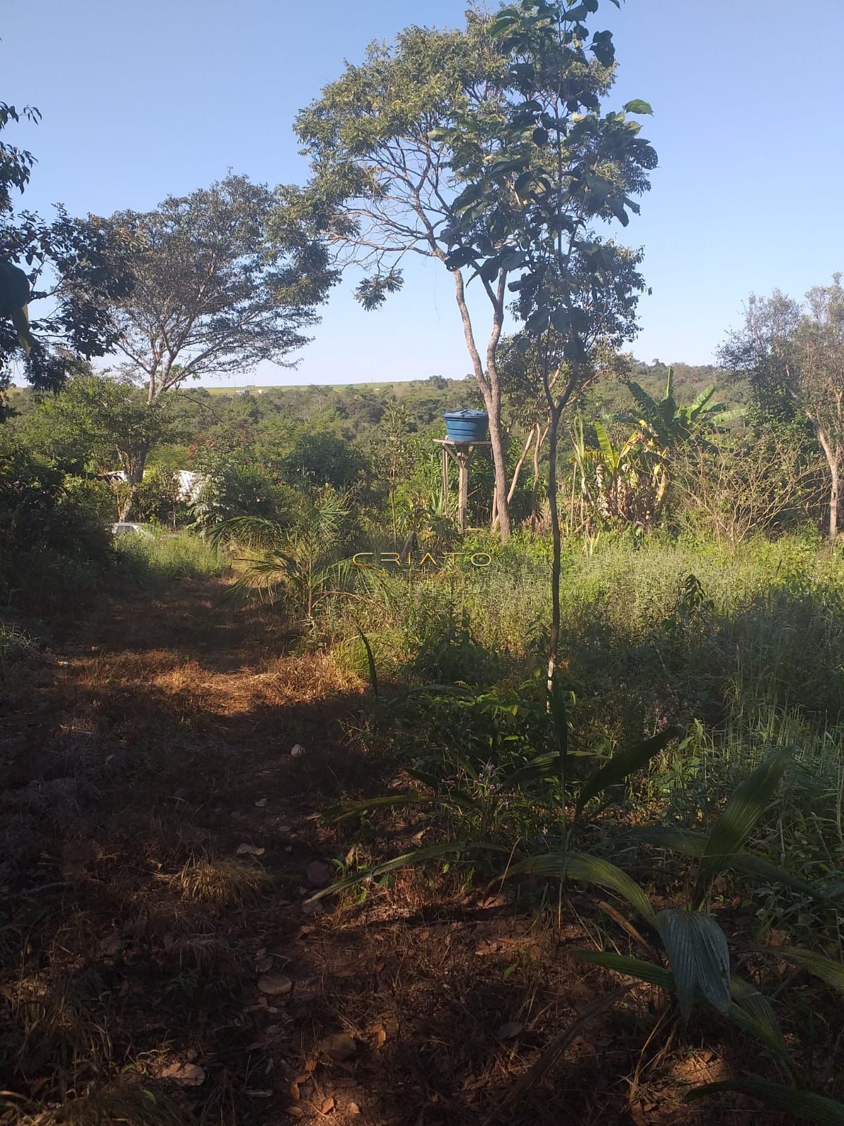 Fazenda/sítio/chácara/haras com 2 Dormitórios à venda, 13 m² por R$ 370.000,00 Fazenda/sítio/chácara/haras com 2 Dormitórios à venda, 13 m² por R$ 370.000,00