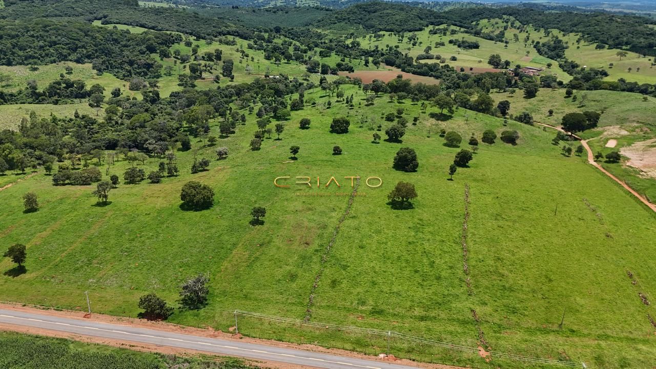 Fazenda, 44 hectares - Foto 11