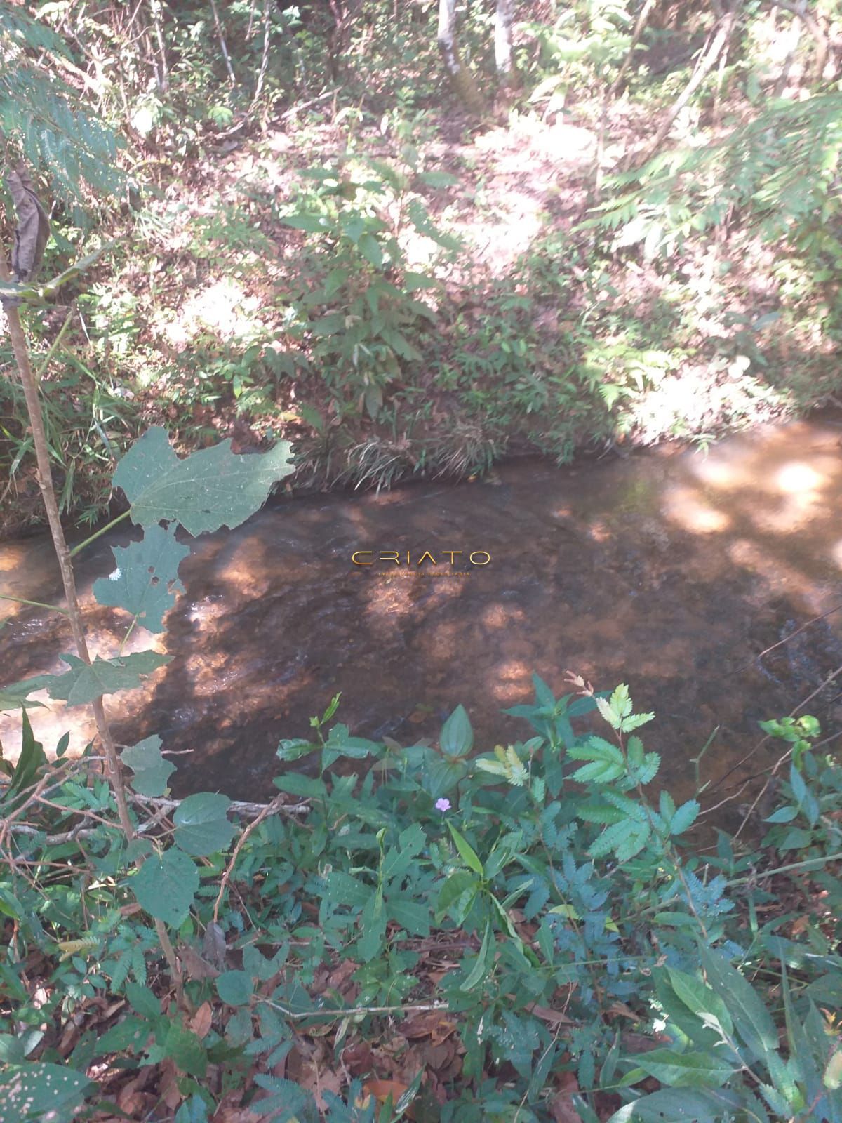 Chácara, 2 quartos, 12 m² - Foto 5