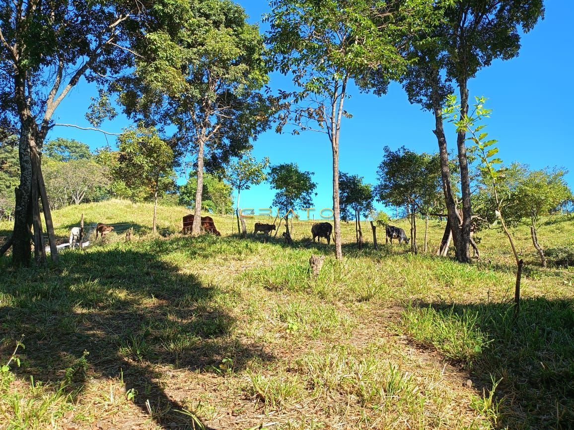 Fazenda à venda com 5 quartos, 18000m² - Foto 20