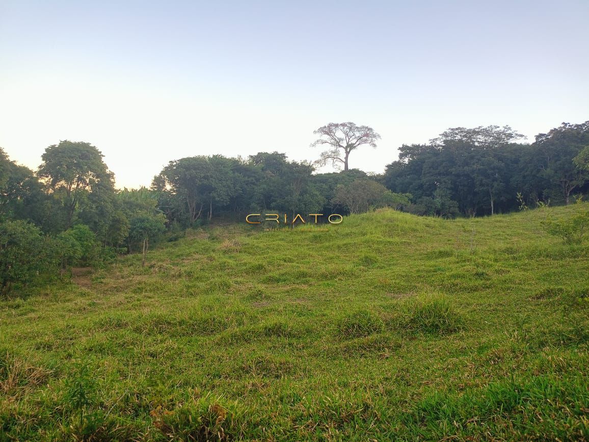 Fazenda à venda com 5 quartos, 18000m² - Foto 18