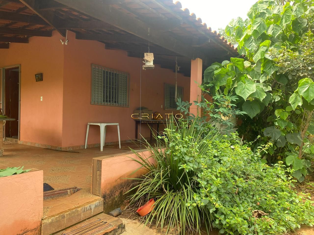 Fazenda à venda com 3 quartos, 3000m² - Foto 4