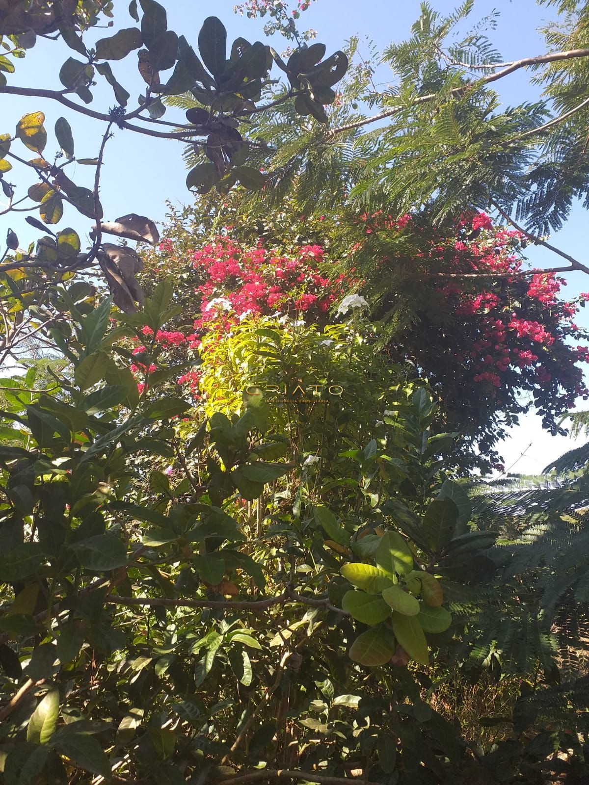 Chácara, 2 quartos, 12 m² - Foto 2