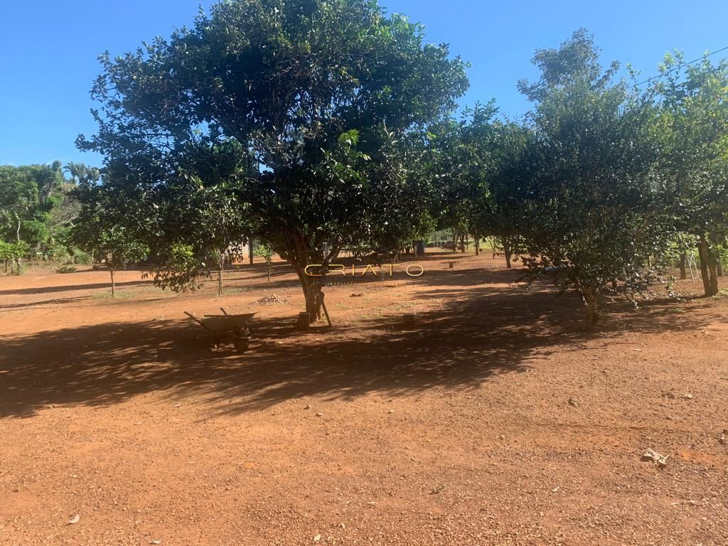 Sítio à venda com 2 quartos, 620000m² - Foto 38