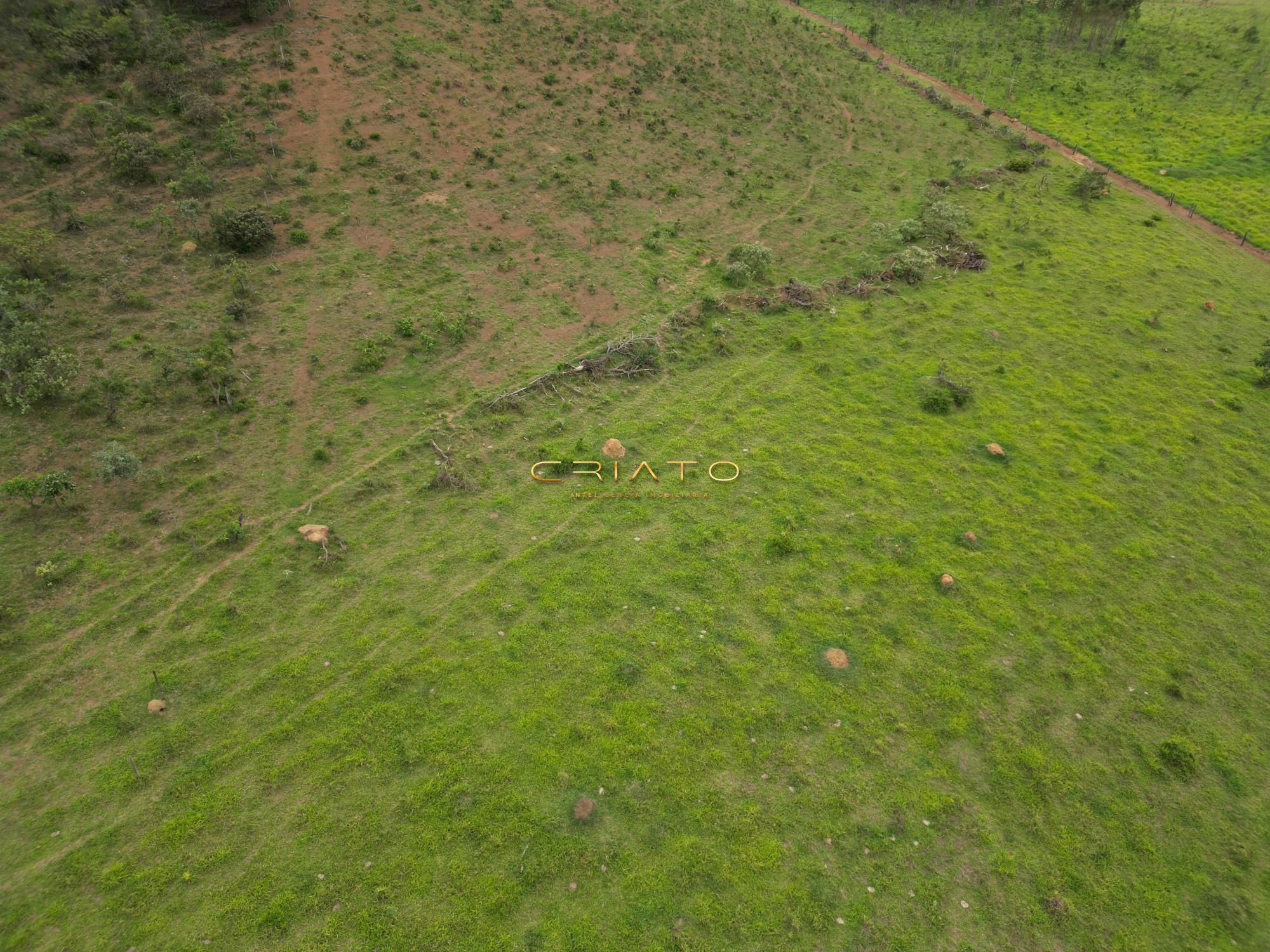 Fazenda à venda, 96000m² - Foto 4