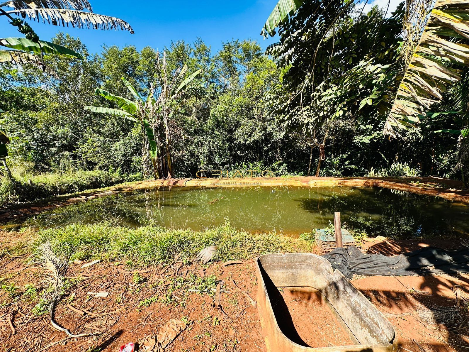 Fazenda à venda com 2 quartos, 40000m² - Foto 26