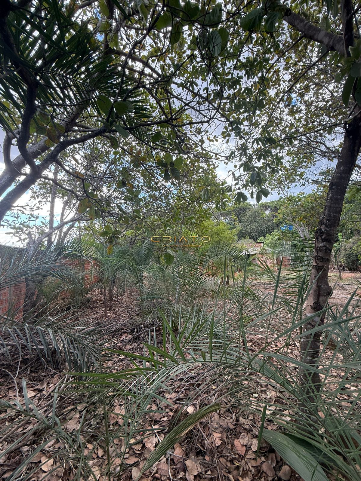 Terreno, 2631 m² - Foto 28