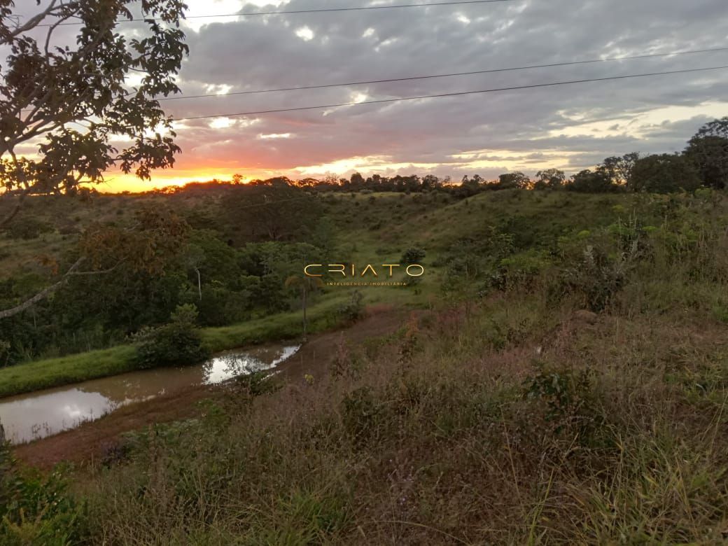 Fazenda à venda com 2 quartos, 36m² - Foto 11