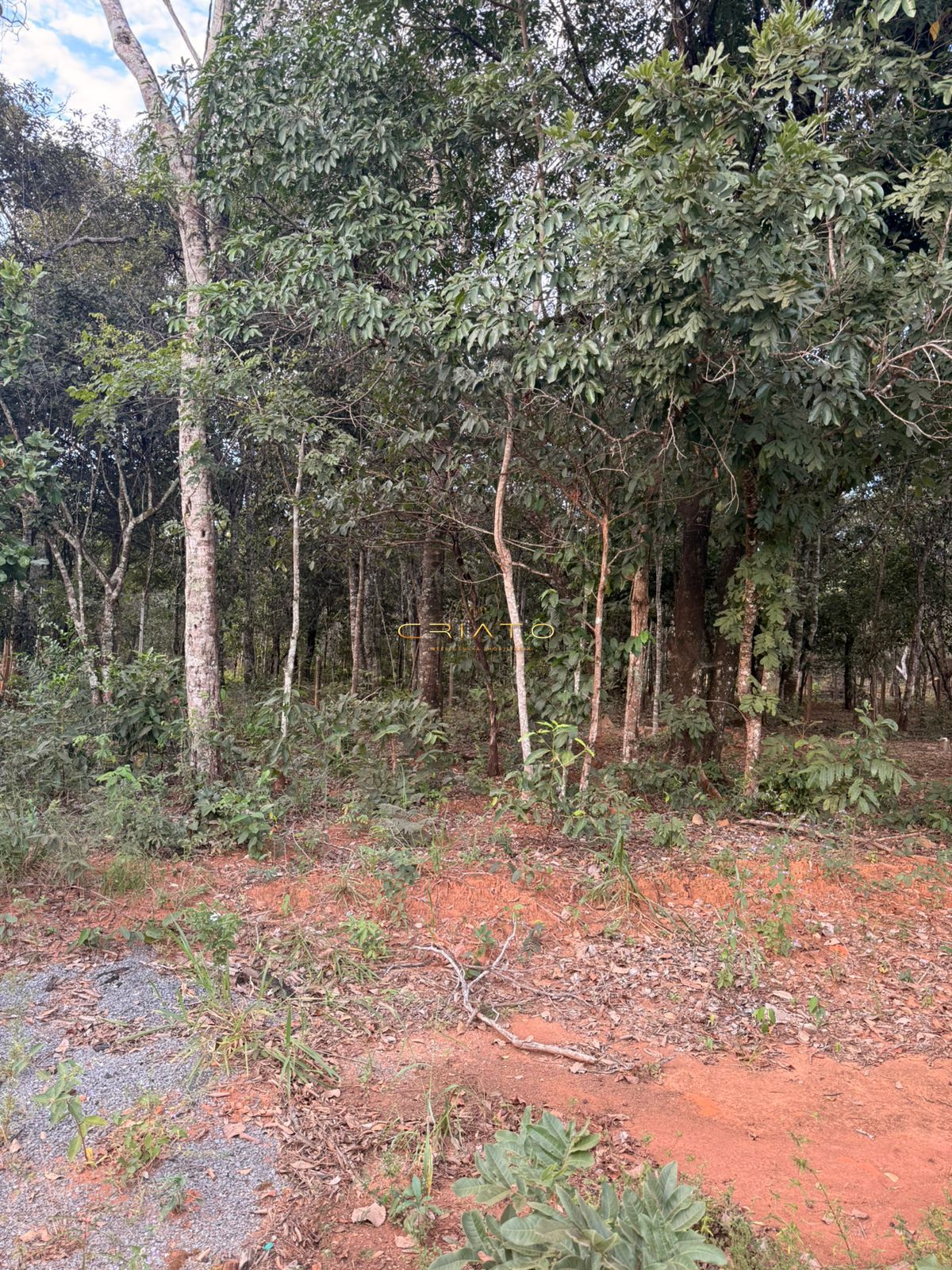 Terreno, 1000 m² - Foto 3