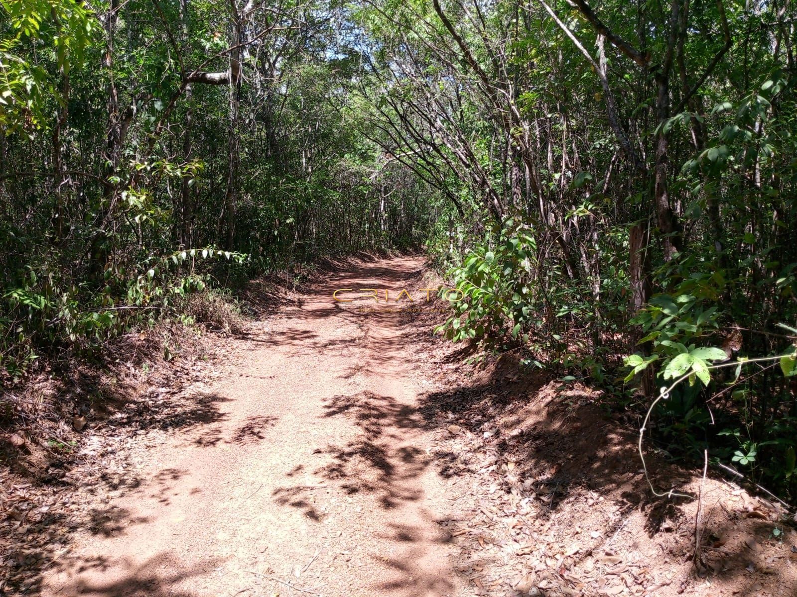 Chácara, 2 hectares - Foto 12