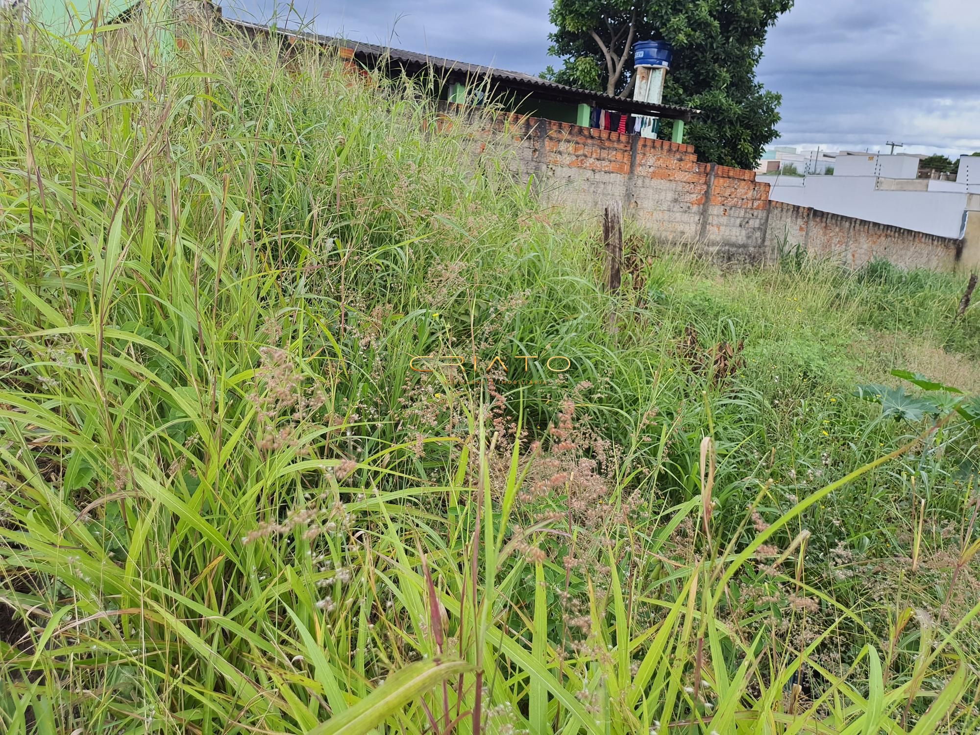 Terreno à venda, 300m² - Foto 3