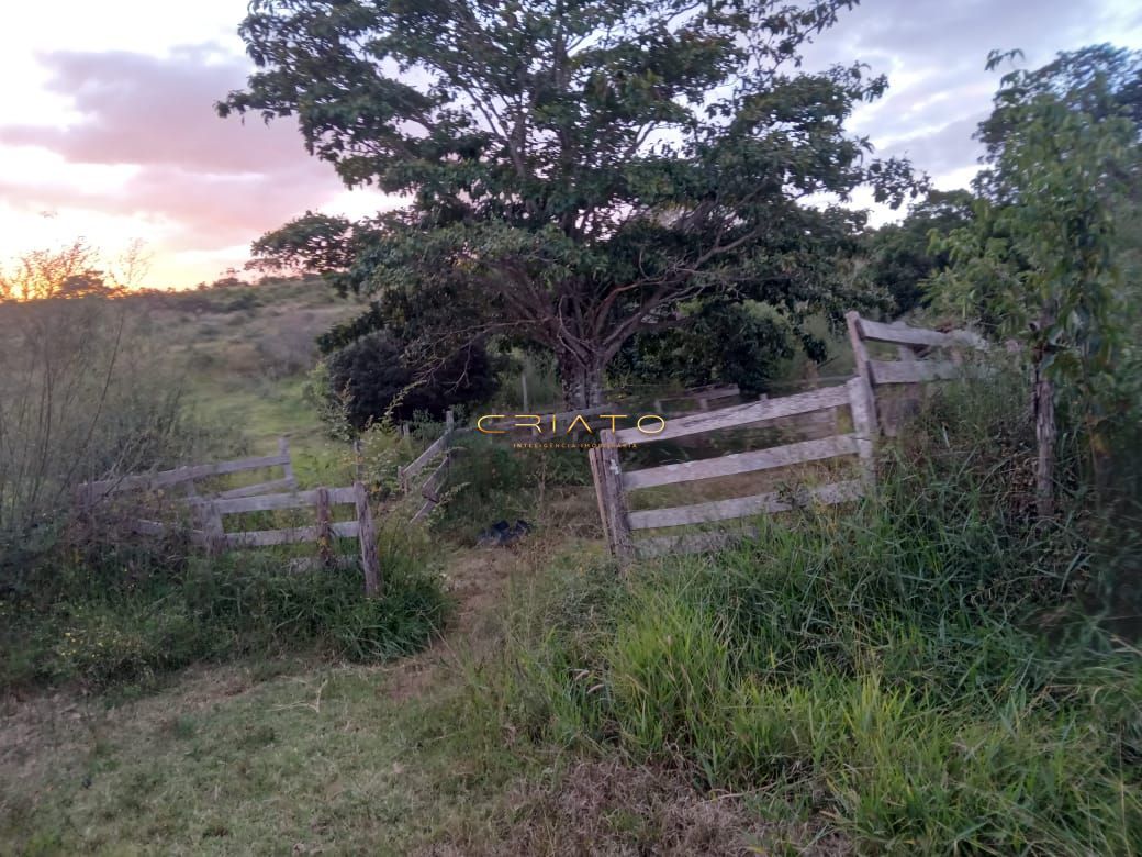 Fazenda à venda com 2 quartos, 36m² - Foto 14