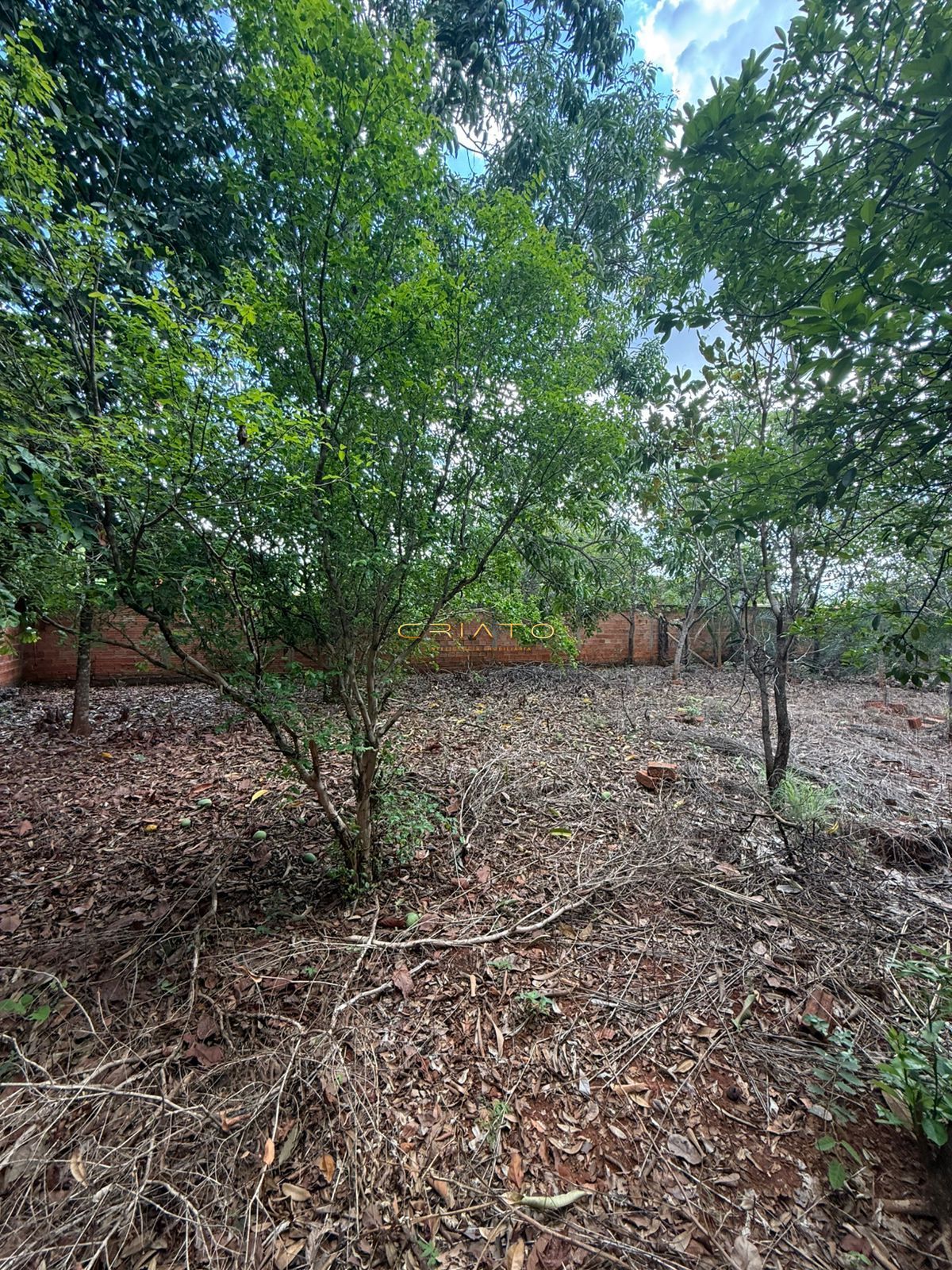 Terreno, 2631 m² - Foto 31